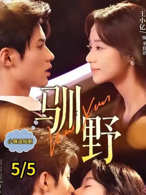苍穹之翼